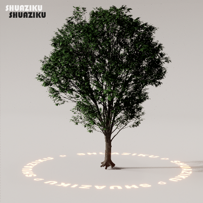 图片[16]-D5渲染器室外植物树木模型下载88个-刷子库