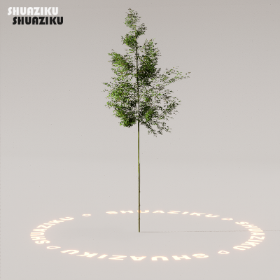 图片[18]-D5渲染器室外植物树木模型下载88个-刷子库