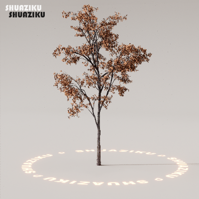 图片[19]-D5渲染器室外植物树木模型下载88个-刷子库