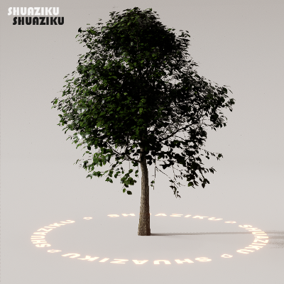 图片[20]-D5渲染器室外植物树木模型下载88个-刷子库