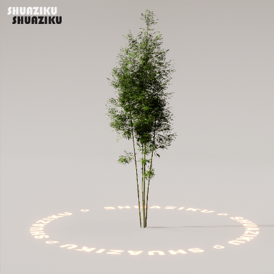 图片[21]-D5渲染器室外植物树木模型下载88个-刷子库