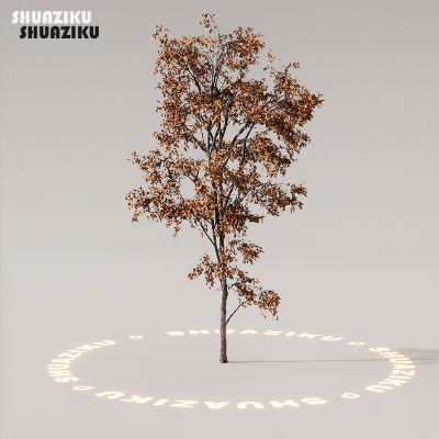 图片[22]-D5渲染器室外植物树木模型下载88个-刷子库