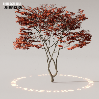 图片[23]-D5渲染器室外植物树木模型下载88个-刷子库