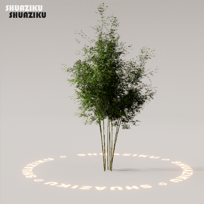 图片[24]-D5渲染器室外植物树木模型下载88个-刷子库