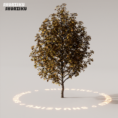 图片[26]-D5渲染器室外植物树木模型下载88个-刷子库