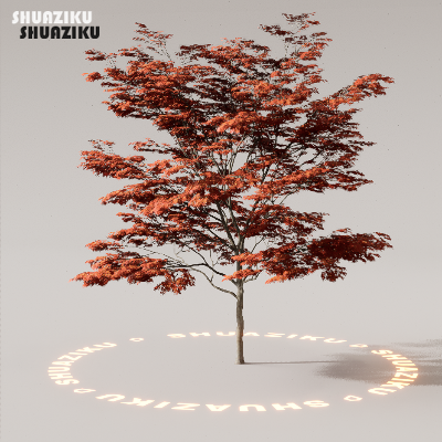 图片[27]-D5渲染器室外植物树木模型下载88个-刷子库