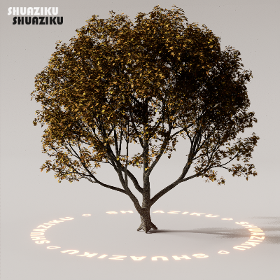 图片[28]-D5渲染器室外植物树木模型下载88个-刷子库