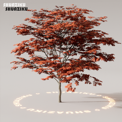 图片[29]-D5渲染器室外植物树木模型下载88个-刷子库