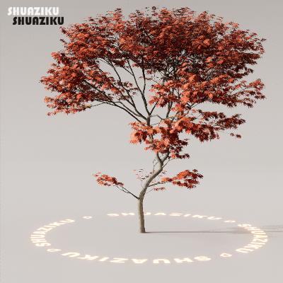 图片[30]-D5渲染器室外植物树木模型下载88个-刷子库