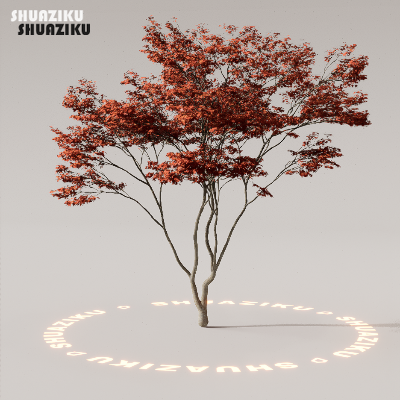 图片[31]-D5渲染器室外植物树木模型下载88个-刷子库