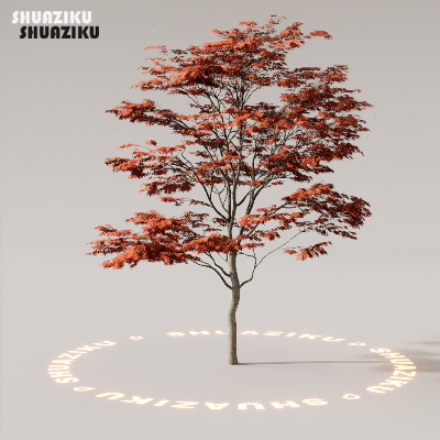图片[32]-D5渲染器室外植物树木模型下载88个-刷子库