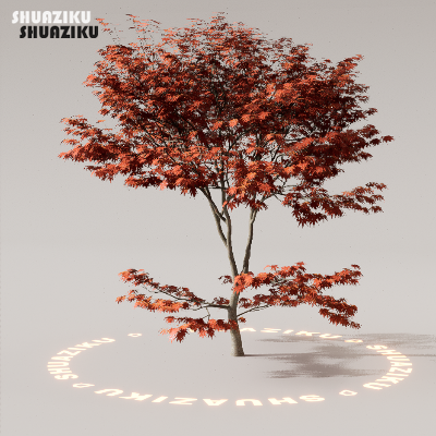 图片[33]-D5渲染器室外植物树木模型下载88个-刷子库