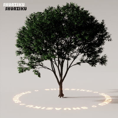 图片[34]-D5渲染器室外植物树木模型下载88个-刷子库