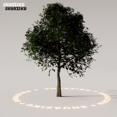 图片[35]-D5渲染器室外植物树木模型下载88个-刷子库