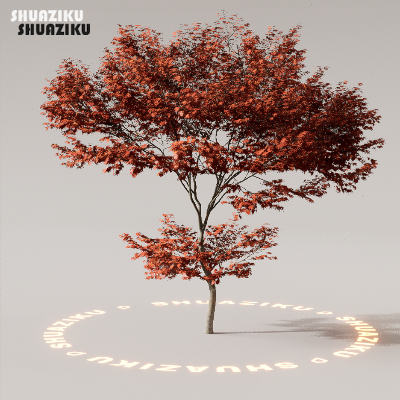 图片[36]-D5渲染器室外植物树木模型下载88个-刷子库