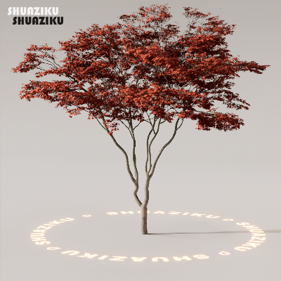 图片[38]-D5渲染器室外植物树木模型下载88个-刷子库