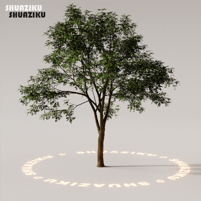 图片[41]-D5渲染器室外植物树木模型下载88个-刷子库