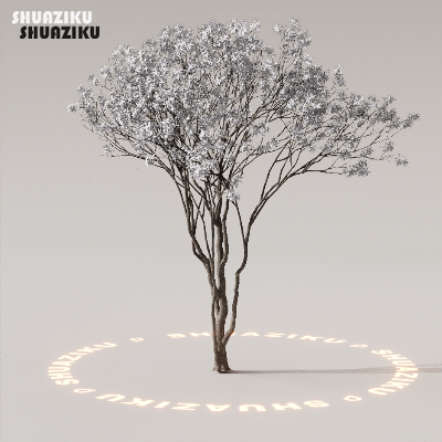 图片[42]-D5渲染器室外植物树木模型下载88个-刷子库