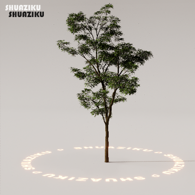 图片[43]-D5渲染器室外植物树木模型下载88个-刷子库