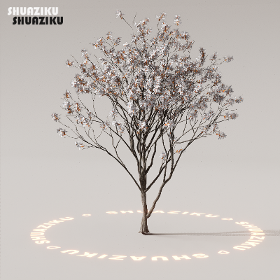 图片[44]-D5渲染器室外植物树木模型下载88个-刷子库
