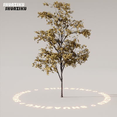 图片[45]-D5渲染器室外植物树木模型下载88个-刷子库