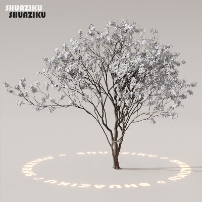 图片[46]-D5渲染器室外植物树木模型下载88个-刷子库