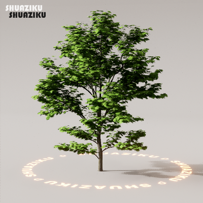 图片[49]-D5渲染器室外植物树木模型下载88个-刷子库