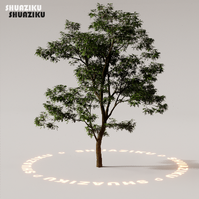 图片[50]-D5渲染器室外植物树木模型下载88个-刷子库