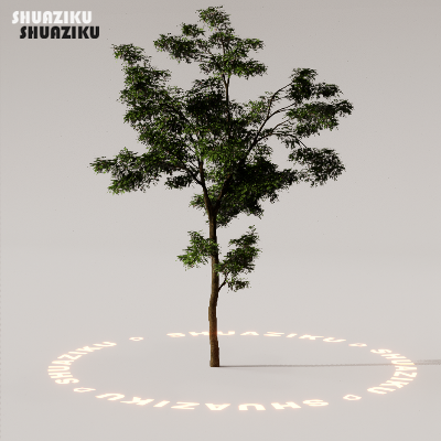 图片[51]-D5渲染器室外植物树木模型下载88个-刷子库