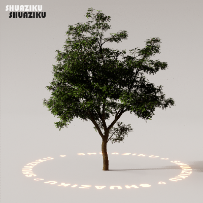 图片[52]-D5渲染器室外植物树木模型下载88个-刷子库