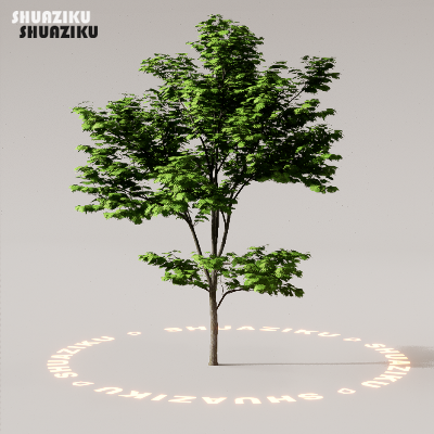 图片[53]-D5渲染器室外植物树木模型下载88个-刷子库