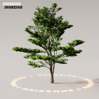 图片[54]-D5渲染器室外植物树木模型下载88个-刷子库