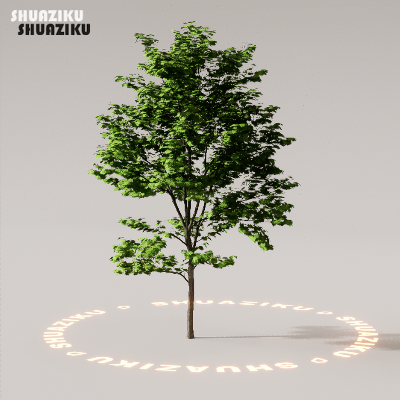 图片[55]-D5渲染器室外植物树木模型下载88个-刷子库