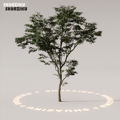 图片[56]-D5渲染器室外植物树木模型下载88个-刷子库