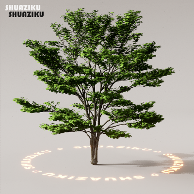 图片[58]-D5渲染器室外植物树木模型下载88个-刷子库