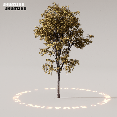 图片[59]-D5渲染器室外植物树木模型下载88个-刷子库