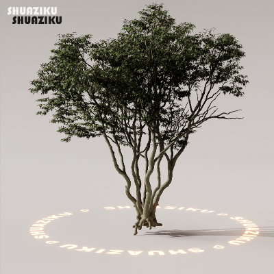 图片[61]-D5渲染器室外植物树木模型下载88个-刷子库