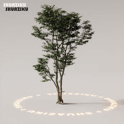 图片[62]-D5渲染器室外植物树木模型下载88个-刷子库