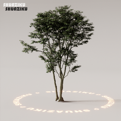 图片[63]-D5渲染器室外植物树木模型下载88个-刷子库