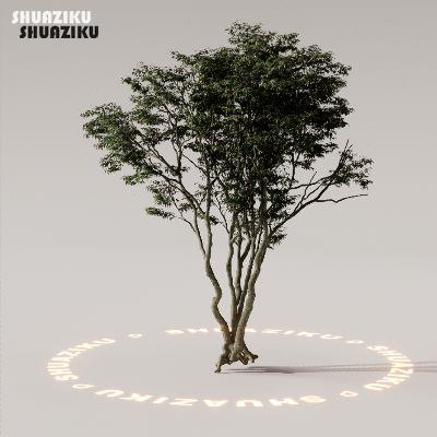 图片[64]-D5渲染器室外植物树木模型下载88个-刷子库