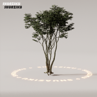 图片[65]-D5渲染器室外植物树木模型下载88个-刷子库