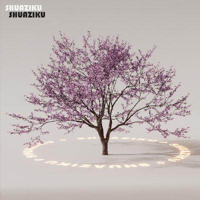 图片[67]-D5渲染器室外植物树木模型下载88个-刷子库