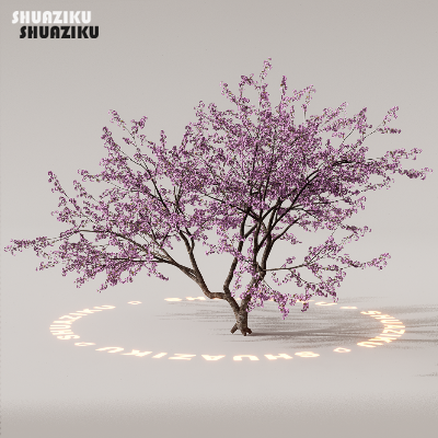 图片[68]-D5渲染器室外植物树木模型下载88个-刷子库