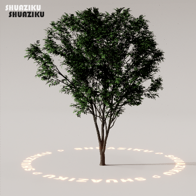 图片[69]-D5渲染器室外植物树木模型下载88个-刷子库