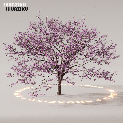 图片[70]-D5渲染器室外植物树木模型下载88个-刷子库