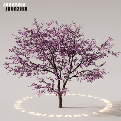 图片[71]-D5渲染器室外植物树木模型下载88个-刷子库