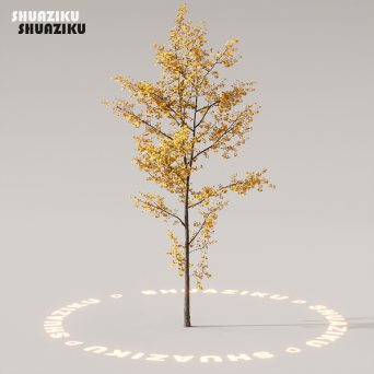 图片[72]-D5渲染器室外植物树木模型下载88个-刷子库