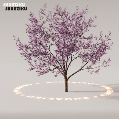 图片[73]-D5渲染器室外植物树木模型下载88个-刷子库