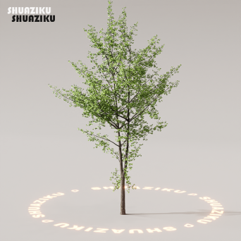 图片[74]-D5渲染器室外植物树木模型下载88个-刷子库