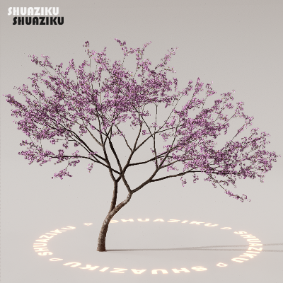 图片[75]-D5渲染器室外植物树木模型下载88个-刷子库